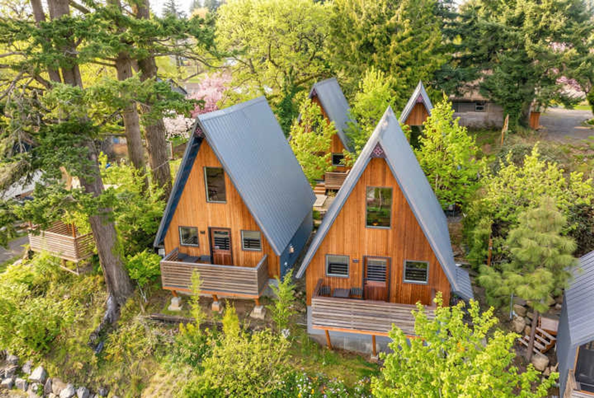 Aerial view of two wooden A-frame cabins with blue metal roofs on a leafy shoreline, nestled among tall evergreen trees and spring foliage.
