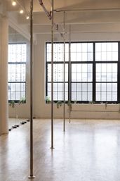 Bright industrial loft pole-fitness studio with polished wood floors, chrome poles, a mirrored wall, large grid windows and potted plants on the windowsill.