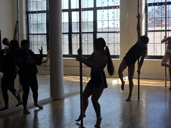 Private Pole Dance Class and Fun Party in NYC (Beginner friendly) image 5
