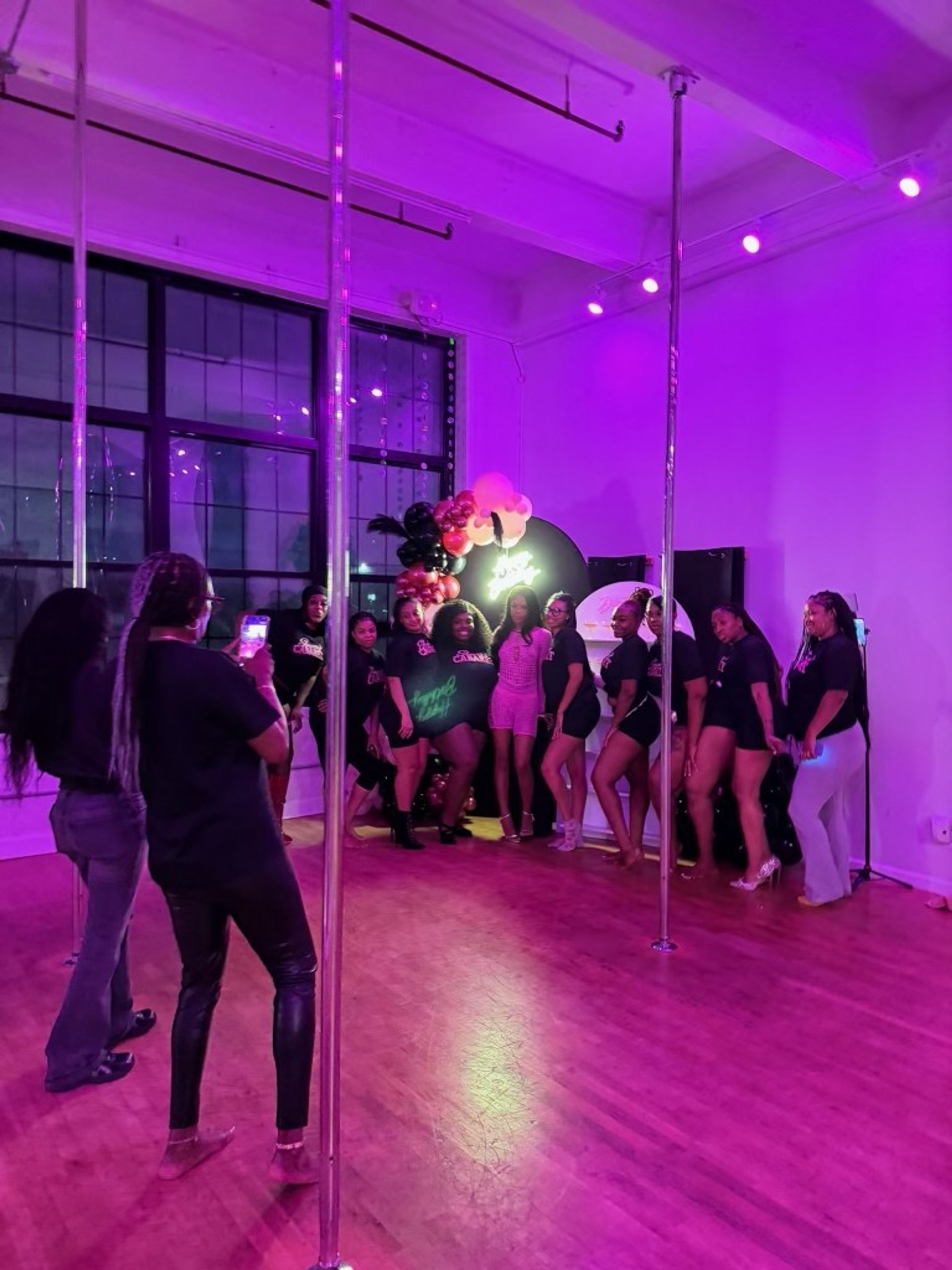 Private Pole Dance Class and Fun Party in NYC (Beginner friendly) image 1