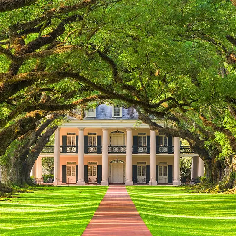 Brick pathway framed by moss-draped live oaks forming a natural arch to a columned Southern plantation-style mansion with manicured lawn.