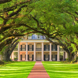 Brick pathway framed by moss-draped live oaks forming a natural arch to a columned Southern plantation-style mansion with manicured lawn.
