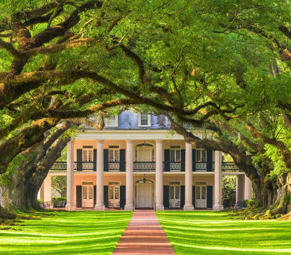 Brick pathway framed by moss-draped live oaks forming a natural arch to a columned Southern plantation-style mansion with manicured lawn.