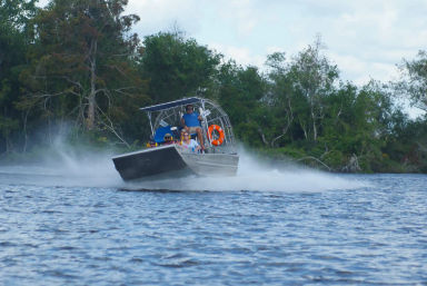 Airboat speeding across a marshy river, water spraying behind it as passengers in life jackets enjoy a wetland swamp tour with wooded shoreline in the background.