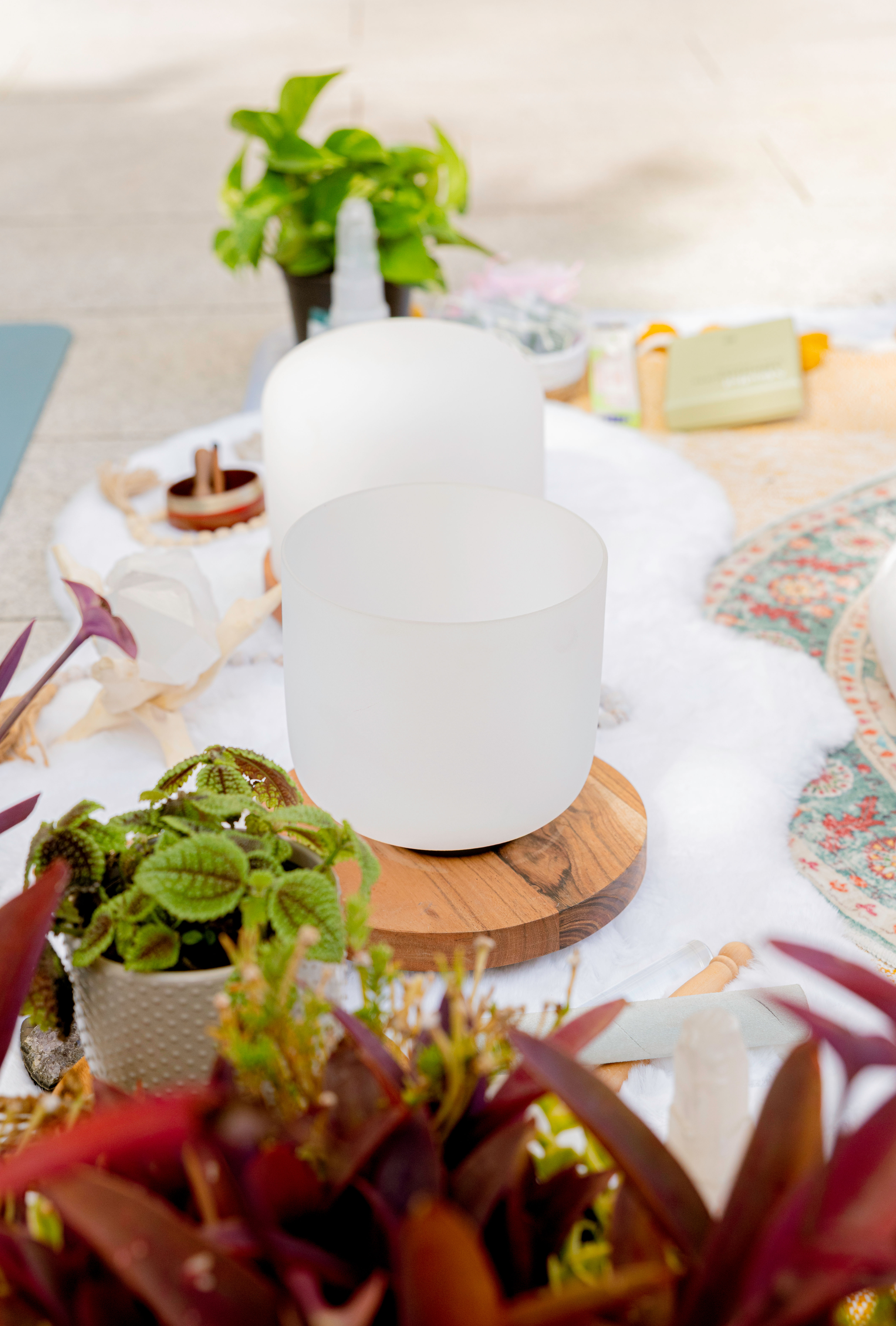 Outdoor meditation sound-bath setup with frosted crystal singing bowls on wooden bases, potted plants, crystals, and a patterned mat on a white blanket.