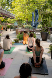 Outdoor urban garden yoga class on a sunny patio — instructor in orange leads students on mats under hanging string lights, surrounded by large planters, umbrellas, and trees.