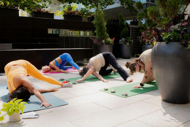 Sunlit urban rooftop yoga class on a terrace, four people in colorful activewear stretching on mats among large planters and greenery.