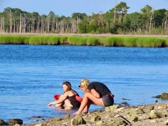 Two women at a rocky coastal shoreline wading and sitting in calm blue estuary water on a sunny day, with bright green salt marsh grasses and pine trees across the distant shore.