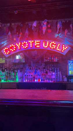 Nightlife bar interior with an arched red neon marquee above the counter, bras hanging from the ceiling, rows of backlit liquor bottles and colorful LED lighting creating a playful, late-night atmosphere.