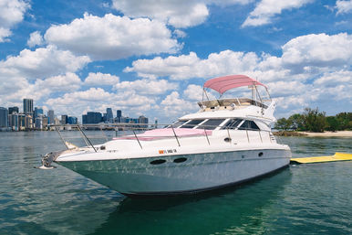 Miami’s Pink Party Yacht: 50ft Horizon Bachelorette Boat image 9