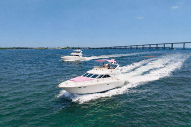White motor yacht with a pink canopy speeding through clear blue coastal waters, leaving a foamy wake; a second yacht and a long bridge appear on the horizon under a sunny sky.