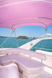 Miami’s Pink Party Yacht: 50ft Horizon Bachelorette Boat image 12