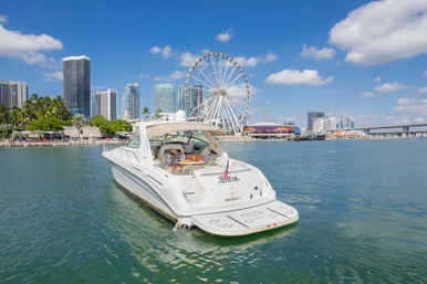 Iconic Yacht Party with Captain and stewardes Included Aboard a Luxury 60ft Private Yacht image 28