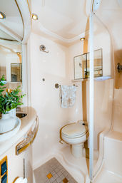 Cozy cream-toned yacht-style bathroom with curved shower stall and sliding door, compact marine toilet, patterned hand towel on wall, mirrored medicine cabinet, countertop sink and small potted plant