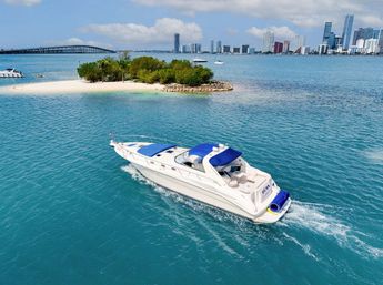 Pop the Bubbly Yacht Party on Private Sea Ray 50' Yacht image 11