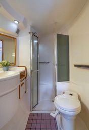 Compact marine bathroom aboard a yacht: corner shower with folding glass door, white marine toilet with foot pedal, curved vanity and mirror, wood trim and small plant on pink-tiled floor.