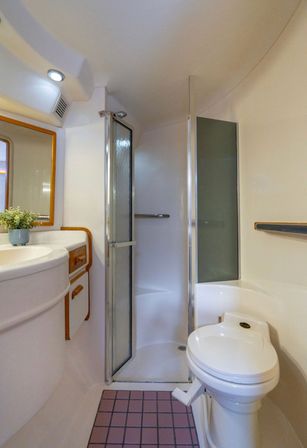 Compact marine bathroom aboard a yacht: corner shower with folding glass door, white marine toilet with foot pedal, curved vanity and mirror, wood trim and small plant on pink-tiled floor.