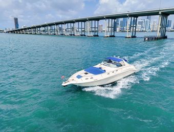 Pop the Bubbly Yacht Party on Private Sea Ray 50' Yacht image 22