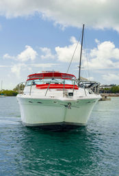 Private Iconic Yacht Party BYOB Cruise on 55’ Luxury Yacht with Captain and Stewardess image 40