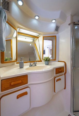 Compact yacht bathroom vanity with curved white sink, wood-trimmed cabinets and drawers, mirrored medicine cabinets, recessed LED lights, small potted plant on the counter, and a glass shower door — modern boat interior.