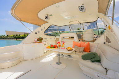 Iconic Yacht Party with Captain and stewardes Included Aboard a Luxury 60ft Private Yacht image 19