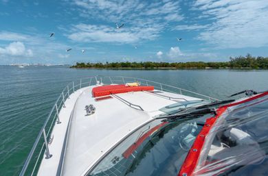 Bow of a white yacht with red sunpad cruising calm bay waters past a tree-lined island under bright blue skies with seagulls overhead.