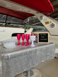 Pop the Bubbly Yacht Party on Private Sea Ray 50' Yacht image 29