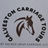 Galveston Carriage Tours
