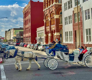 White horse pulling a white sightseeing carriage with passengers past ornate red-brick historic downtown buildings on a sunny urban street