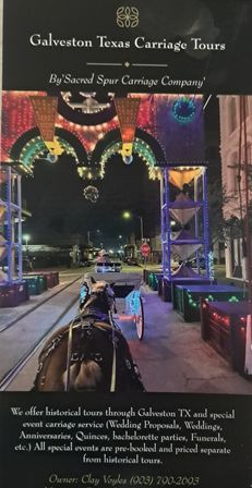 Evening horse-drawn carriage tour on a Galveston, Texas street under a colorful illuminated archway, festive lights and storefronts lining the downtown scene.