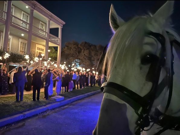 White horse in close-up at a nighttime wedding send-off, guests holding sparklers lining the sidewalk in front of a large two-story house