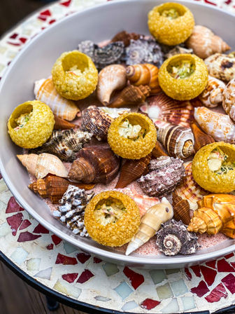 Golden crispy bite-sized shells filled with creamy seafood salad, artfully arranged on assorted seashells in a white bowl — coastal appetizer