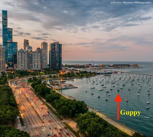 Aerial dusk view of the Chicago lakefront and high-rise skyline with a marina of moored sailboats, a distant Ferris wheel on the pier, and a red arrow labeled “Guppy” pointing to a small boat.
