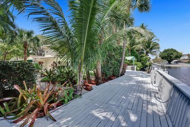 Sunny tropical waterfront boardwalk with white wooden decking, palm trees and lush landscaping along a calm canal