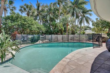 Sunny tropical backyard swimming pool with curved stone patio and clear turquoise water, enclosed by a black mesh safety fence and surrounded by tall palm trees and lush landscaping.