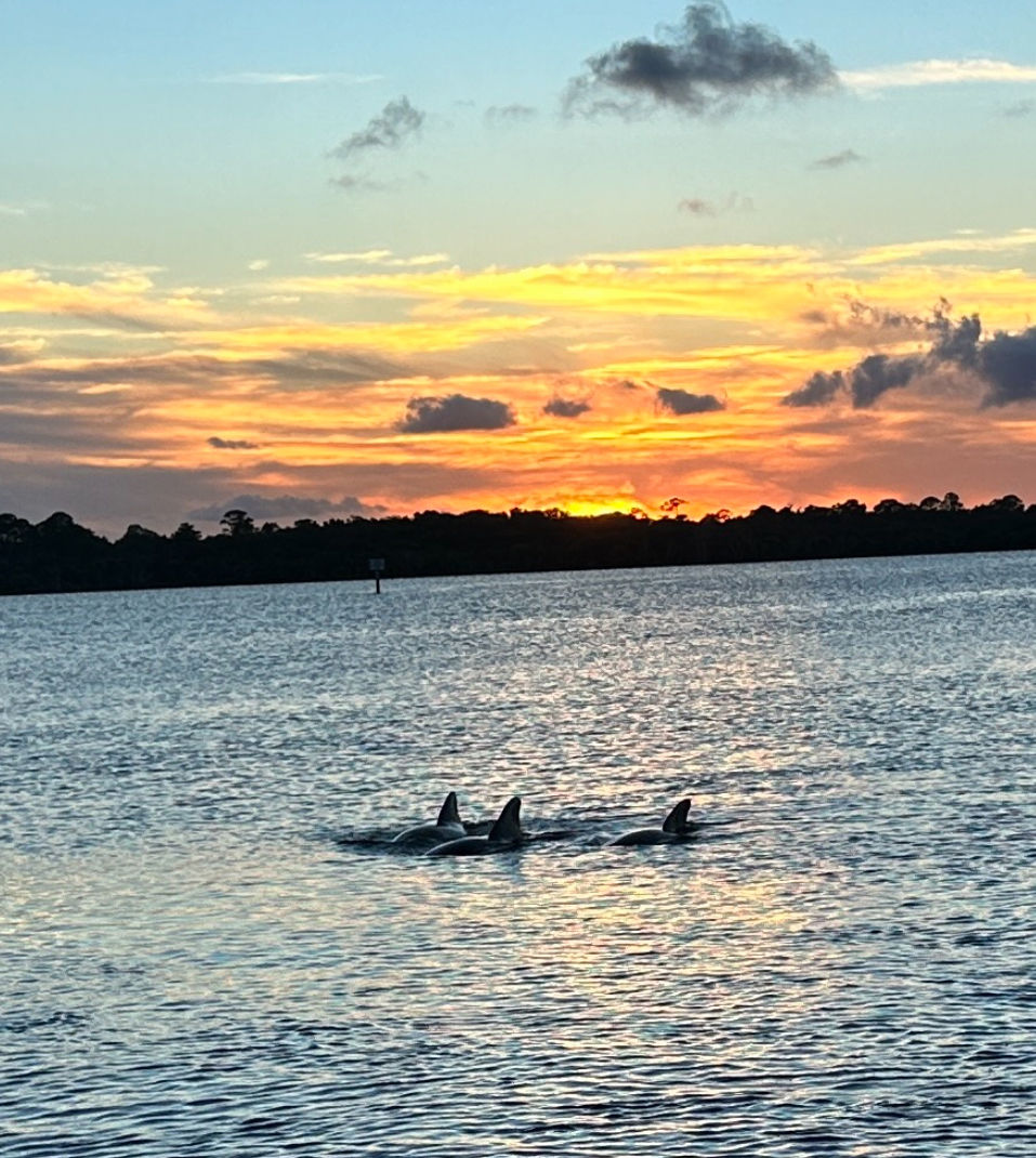 Daytona Beach - Champagne Sunset Cruise image 4