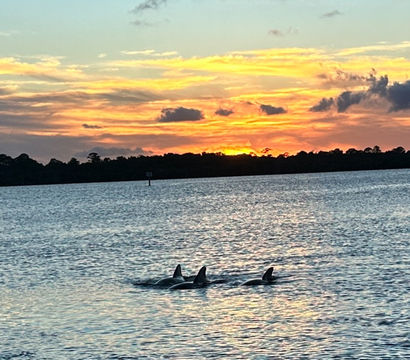 Florida Boat Vacations
