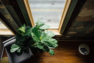 302: Spacious Loft in the Heart of Downtown, Walk to Broadway image 38