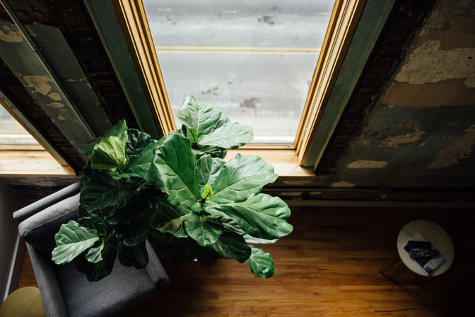 302: Spacious Loft in the Heart of Downtown, Walk to Broadway image 38