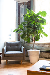 301: Downtown Loft, Just Steps Away from Broadway! image 22