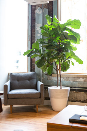 301: Downtown Loft, Just Steps Away from Broadway! image 22