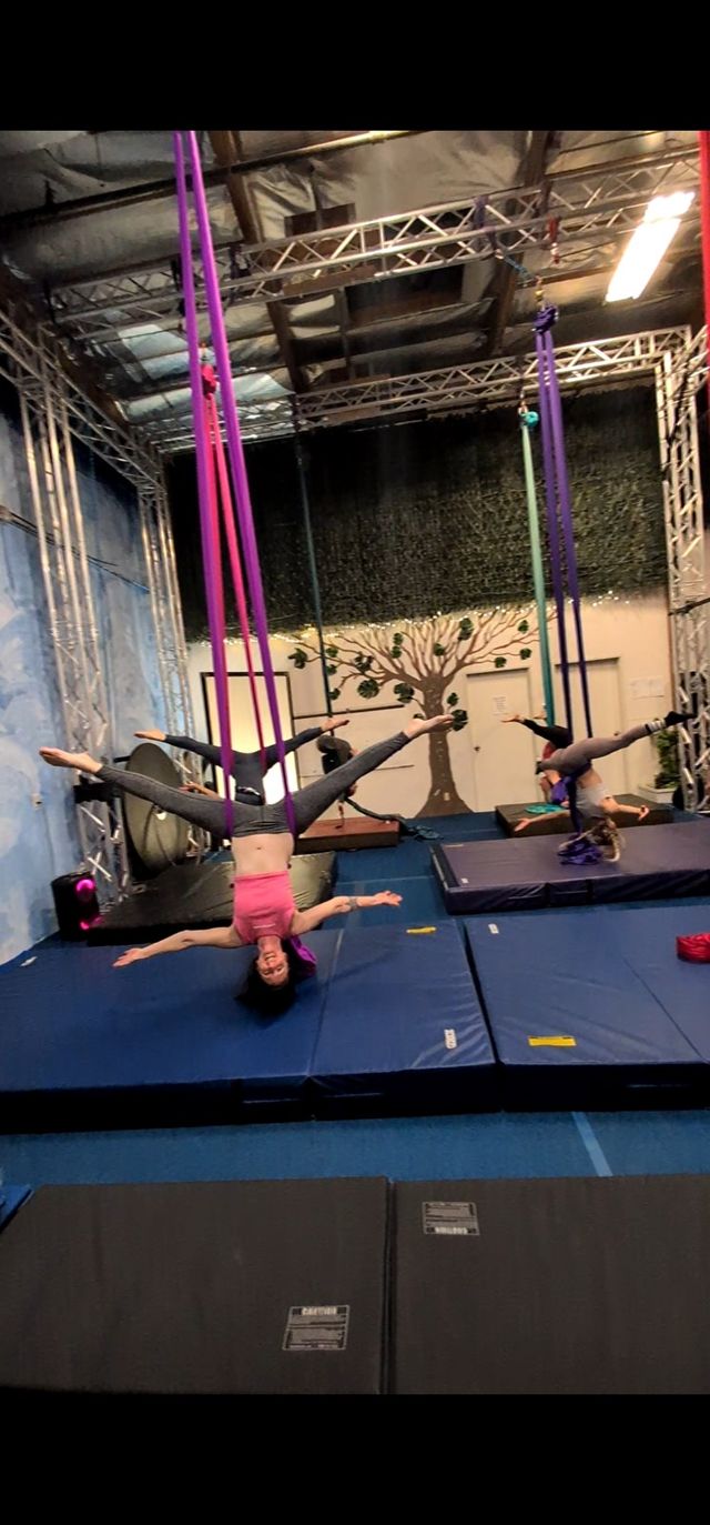 The Secret Enchanted Aerial Forest image 4