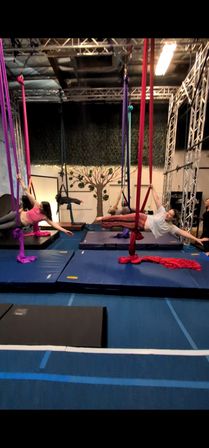 The Secret Enchanted Aerial Forest image 1