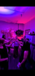 The Secret Enchanted Aerial Forest image 9