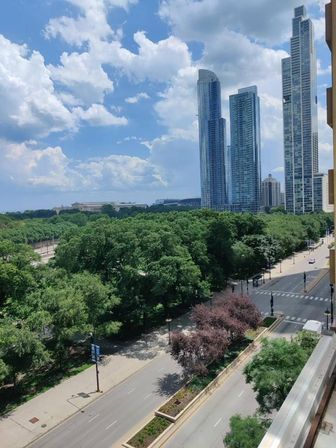 Luxury High-Rise Apartments at Sentral Michigan Avenue image 29