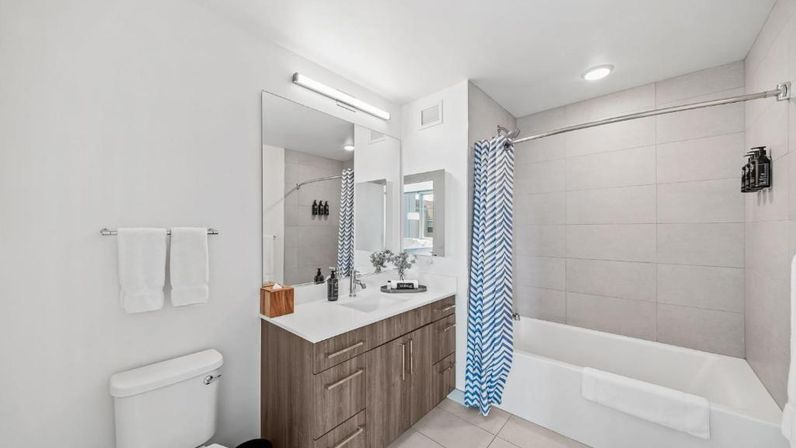 Luxury High-Rise Apartments at Sentral Michigan Avenue image 61