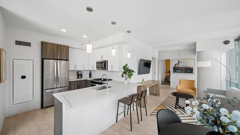 Luxury High-Rise Apartments at Sentral Michigan Avenue image 70