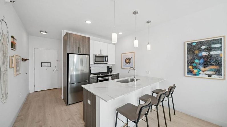 Luxury High-Rise Apartments at Sentral Michigan Avenue image 58