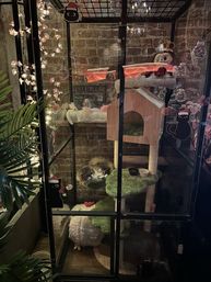 Cozy indoor glass cat enclosure against an exposed brick wall, featuring a sleeping long-haired cat on a multi-level green cat tree, fairy lights and plush toys.