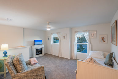 Cozy upstairs family loft with armchair, daybed, electric fireplace and TV, soft gray carpet, sheer curtained windows and playful animal wall art in a bright suburban home